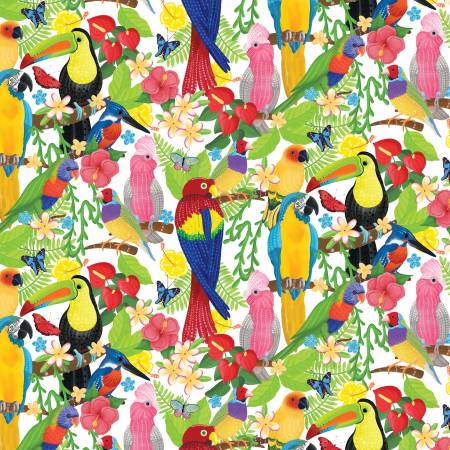 Island Time - Tropical Birds