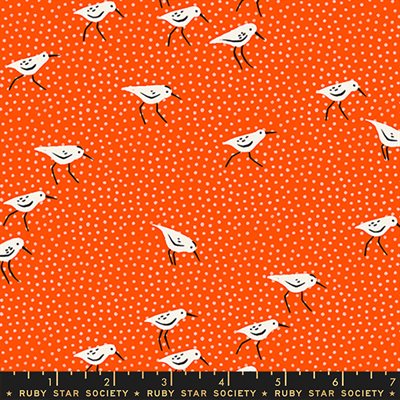 Florida Volume 2 - Birds - Orange