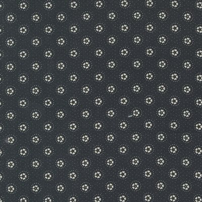 Blackbird's Nest - Dotty Bloom - Black